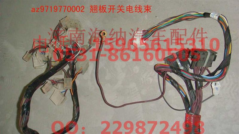AZ9719770002,翹板開(kāi)關(guān)電線束,濟(jì)南海納汽配有限公司