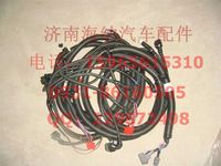 AZ9716772006,EGR發(fā)動(dòng)機(jī)電線束(09款),濟(jì)南海納汽配有限公司