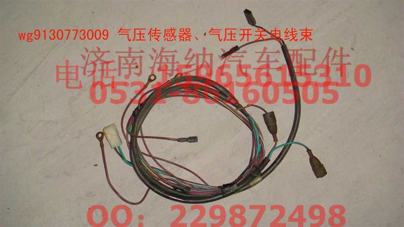 WG9130773009,傳感器、開關(guān)線束,濟(jì)南海納汽配有限公司