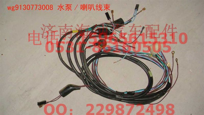 WG9130773008,水泵、喇叭線束,濟(jì)南海納汽配有限公司