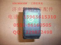 WG9130581038,工作燈開(kāi)關(guān),濟(jì)南海納汽配有限公司