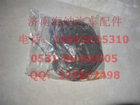 AZ9926771103,底盤線束(CNGS38TGA車架MCY橋D12),濟(jì)南海納汽配有限公司