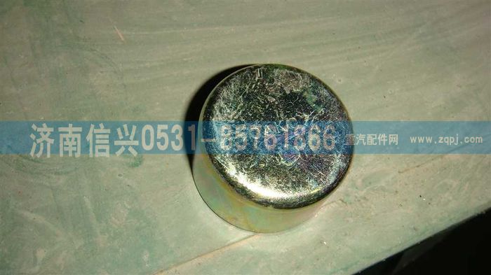 AZ9100443016,盤式制動器滑銷蓋(鉗體側),濟南信興汽車配件貿易有限公司