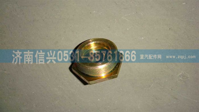 WG9100443008,盤式制動(dòng)器手調(diào)座,濟(jì)南信興汽車配件貿(mào)易有限公司
