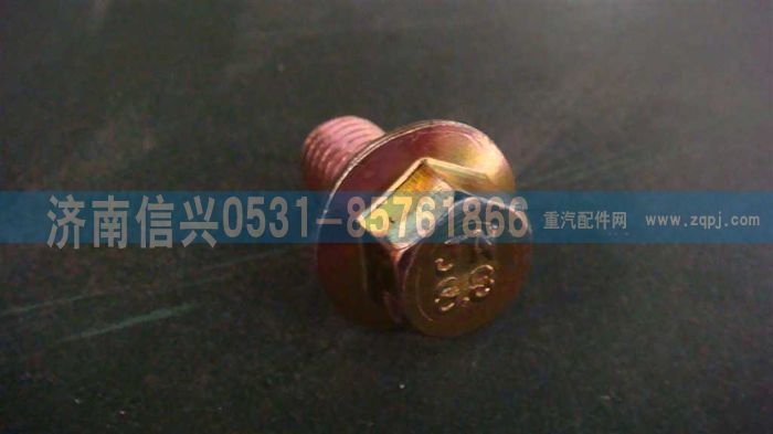 WG9981340066,六角法蘭面承面帶齒螺栓,濟南信興汽車配件貿(mào)易有限公司