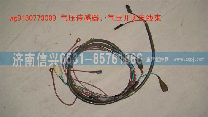 WG9130773009,WG9130773009傳感器、開關線束,濟南信興汽車配件貿易有限公司