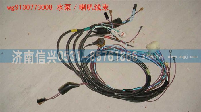 WG9130773008,WG9130773008水泵、喇叭線束,濟(jì)南信興汽車配件貿(mào)易有限公司