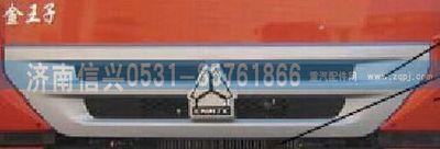 WG1632116006,WG1632116006面罩格柵（11款金王子）,濟(jì)南信興汽車(chē)配件貿(mào)易有限公司