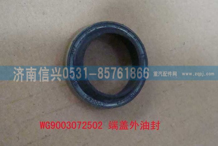 AZ9003072502,AZ9003072502端蓋外油封,濟南信興汽車配件貿(mào)易有限公司