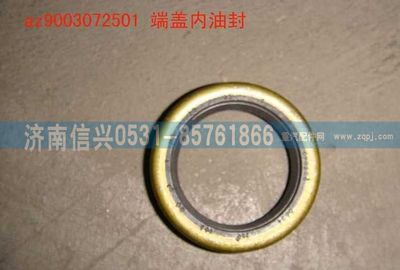 AZ9003072501,AZ9003072501端蓋內(nèi)油封,濟南信興汽車配件貿(mào)易有限公司