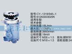 612630030295,齒輪泵系列轉(zhuǎn)向泵,濟(jì)南馳涌貿(mào)易有限公司