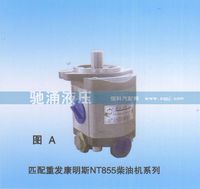 QC25-13-KMS,重發(fā)康明斯NT855柴油機(jī)QC25-13-KMS,濟(jì)南馳涌貿(mào)易有限公司