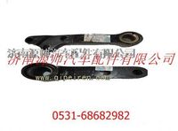 DZ95319470008,陜汽德龍F3000轉向節(jié)垂臂,濟南源帥汽車配件有限公司