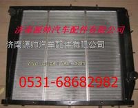 DZ95259532202,陜汽德龍F(tuán)3000散熱器 陜汽德龍F(tuán)3000水箱,濟(jì)南源帥汽車(chē)配件有限公司