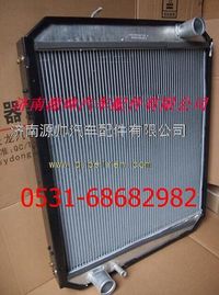 WG9125531260,重汽金王子散熱器 重汽金王子水箱,濟(jì)南源帥汽車配件有限公司