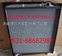 WG9112530323,重汽斯太爾王散熱器 重汽斯太爾王水箱,濟南源帥汽車配件有限公司
