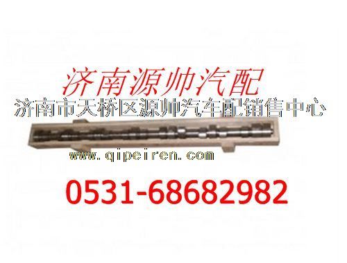 61500050096,濰柴WP10發(fā)動機(jī)凸輪軸,濟(jì)南源帥汽車配件有限公司