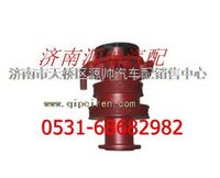 612600060726,重汽WD615發(fā)動機(jī)水泵,濟(jì)南源帥汽車配件有限公司