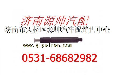 VG1557080016,重汽噴油器總成,濟(jì)南源帥汽車配件有限公司