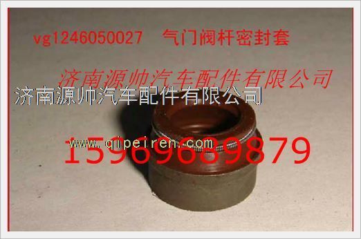 VG1246050027,重汽發(fā)動(dòng)機(jī)氣門油封VG1246050027,濟(jì)南源帥汽車配件有限公司