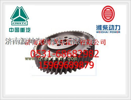 612630030003,濰柴WP12發(fā)動(dòng)機(jī)凸輪軸齒輪612630030003,濟(jì)南源帥汽車配件有限公司