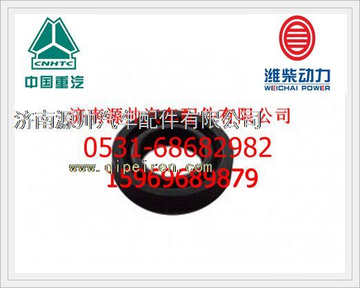 VG1500040014,重汽D1034發(fā)動(dòng)機(jī)排氣門彈簧下座VG1500040014,濟(jì)南源帥汽車配件有限公司