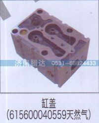 615600040559,缸蓋（615600040559天然氣）,濟(jì)南錦陽汽配有限公司（原騰達(dá)）