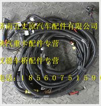 陜汽德龍M3000發(fā)動(dòng)機(jī)、變速器底盤電線束
