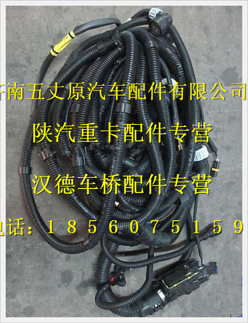 陜汽德龍奧龍發(fā)動機、變速器底盤線束/DZ95319777801