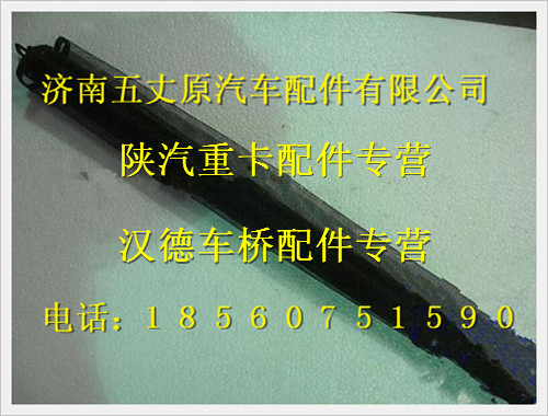 陜汽德龍奧龍防蟲網總成/DZ96259537000