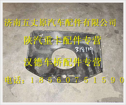 DZ95319318119,,濟(jì)南五丈原汽車(chē)配件有限公司（原奧隆威）