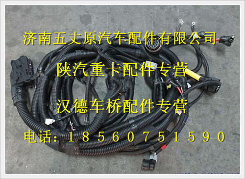 陜汽德龍發(fā)動機、變速器底盤電線束/DZ95189777811