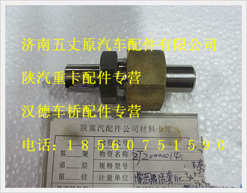 陜汽德龍?jiān)鰤浩骰钐捉M件/ZJ20000014