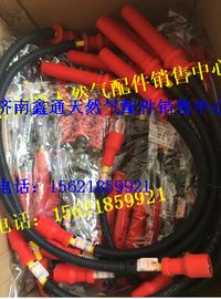 濰柴WP10LNG CNG高壓點火線