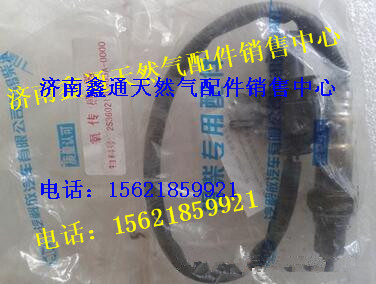 2S3602170A65A,錫柴天然氣氧傳感器,濟(jì)南鑫通天然氣銷售中心