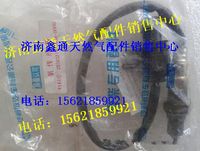 2S3602170A65A,錫柴天然氣氧傳感器,濟(jì)南鑫通天然氣銷售中心
