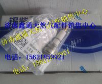 錫柴LNG天然氣配件火花塞