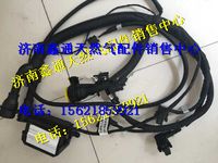 612600191127,濰柴氣體機(jī)ECU線束,濟(jì)南鑫通天然氣銷售中心