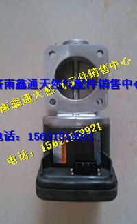 濰柴氣體機(jī)電子節(jié)氣門(mén)