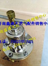612600190513,濰柴氣體機進(jìn)口穩(wěn)壓器,濟(jì)南鑫通天然氣銷售中心