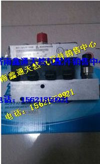 濰柴氣體機(jī)燃料計(jì)量閥