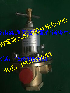 13060096,濰柴氣體機穩(wěn)壓器,濟南鑫通天然氣銷售中心