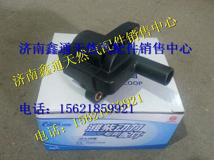 612600190245,濰柴天然氣LNG點(diǎn)火線圈,濟(jì)南鑫通天然氣銷(xiāo)售中心