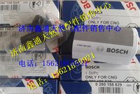 博士濰柴天然氣發(fā)動機燃氣噴嘴