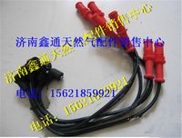 南充天然氣發(fā)動(dòng)機(jī)NQ120高壓線,南充天然氣發(fā)動(dòng)機(jī)NQ120高壓線,濟(jì)南鑫通天然氣銷售中心