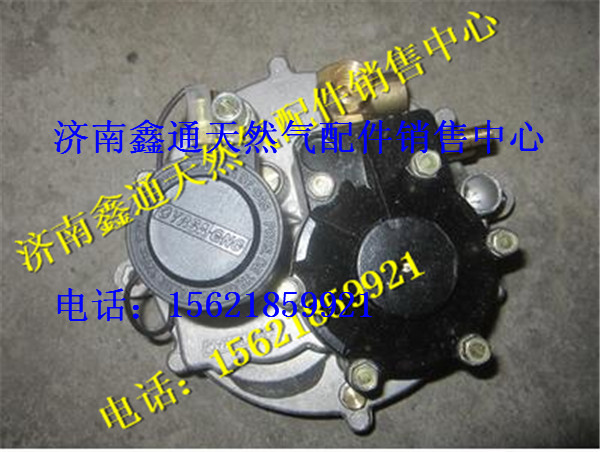 36.2D-01012-A02,南充天然氣發(fā)動機減壓器,濟南鑫通天然氣銷售中心