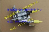 612640130089,濰柴歐四尿素噴嘴,濟南鑫通天然氣銷售中心