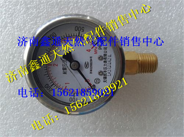 濰柴重汽LNG天然氣發(fā)動(dòng)機(jī)富瑞特裝氣罐配件,濰柴重汽LNG天然氣發(fā)動(dòng)機(jī)富瑞特裝氣罐配件,濟(jì)南鑫通天然氣銷售中心