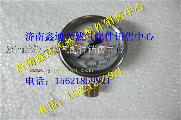 WG10000001（DZ9325956014,西安德森LNG氣瓶徑向壓力表,濟南鑫通天然氣銷售中心