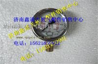 WG10000001（DZ9325956014,西安德森LNG氣瓶徑向壓力表,濟南鑫通天然氣銷售中心